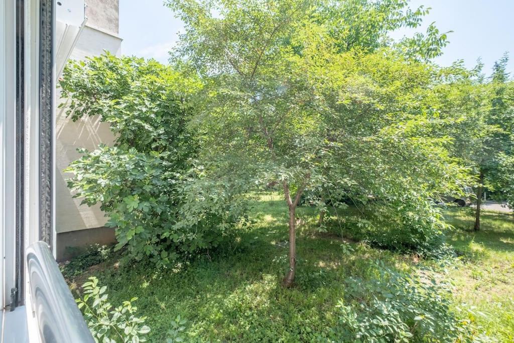 Top Location, Brand New 3 Bdrm Apt & Free Parking Sofia Exterior foto