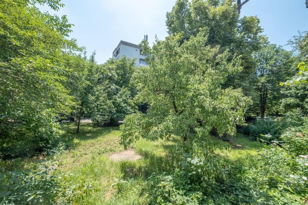 Top Location, Brand New 3 Bdrm Apt & Free Parking Sofia Exterior foto