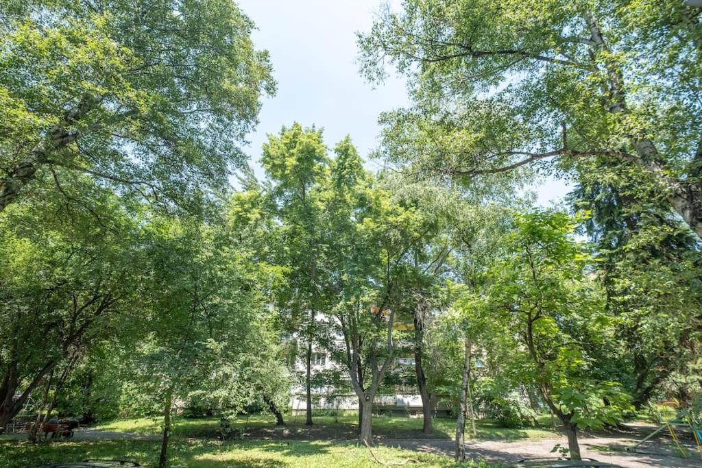 Top Location, Brand New 3 Bdrm Apt & Free Parking Sofia Exterior foto
